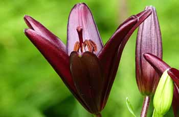 ddos网页在线攻击