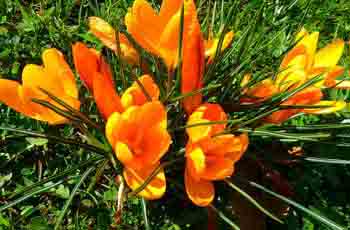 cc攻击免费网页版