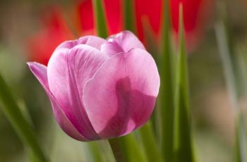 即时到账的DDOS在线攻击